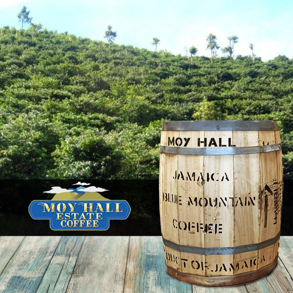16 ounces, Single Estate Jamaica Blue Mountain Coffee, Moyhall Estate