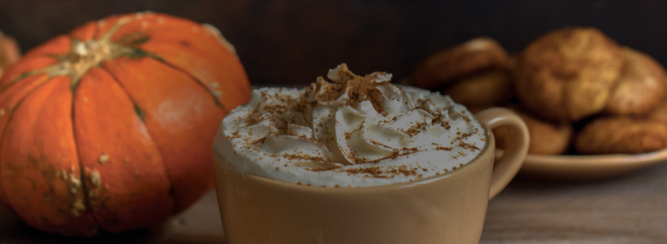 Pumpkin is here! 15% off