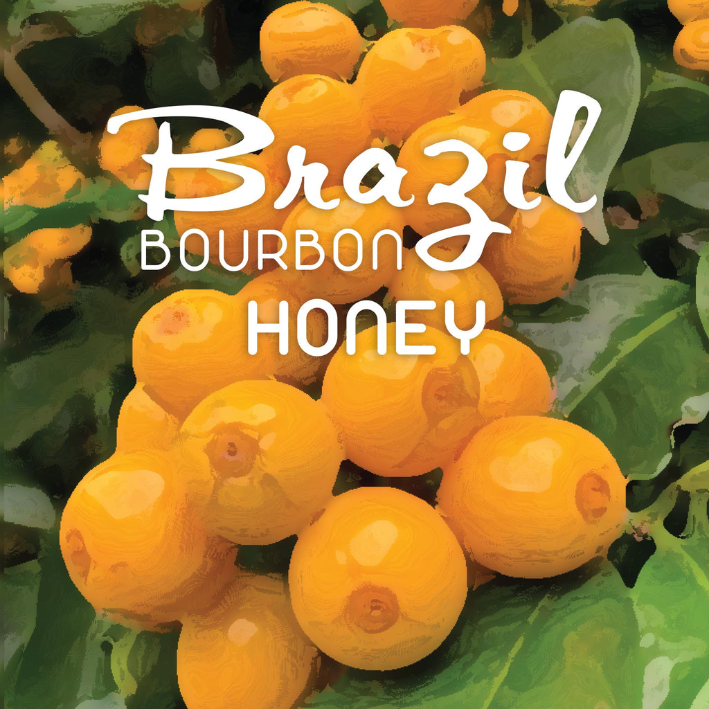 Brazil Honey Washed bag of Coffee