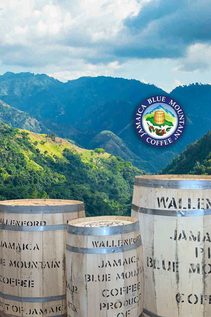 Aroma Ridge Coffee Roasters