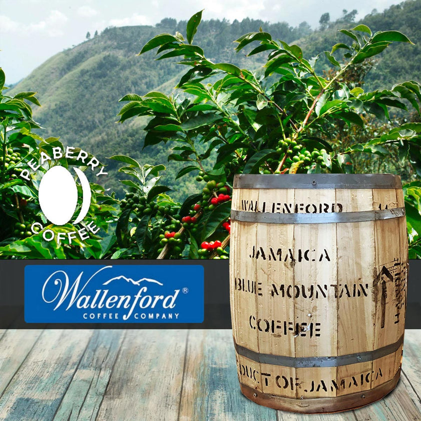 Jamaican Blue Mountain Coffee Beans – Peaberry Dark Roast, 2 Lbs (2 X 1lb Bags), Fresh Roasted Daily
