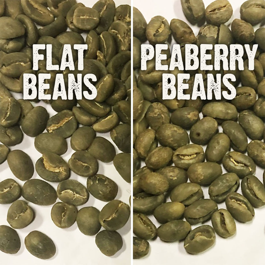 Hawaiian Kona Peaberry Coffee, Greenwell Farm