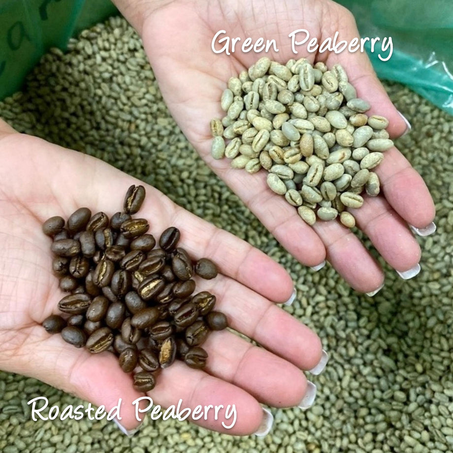 peaberry-green-